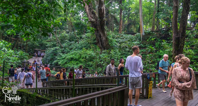 Discover the Spiritual Wonders of the Sacred Monkey Forest in Ubud