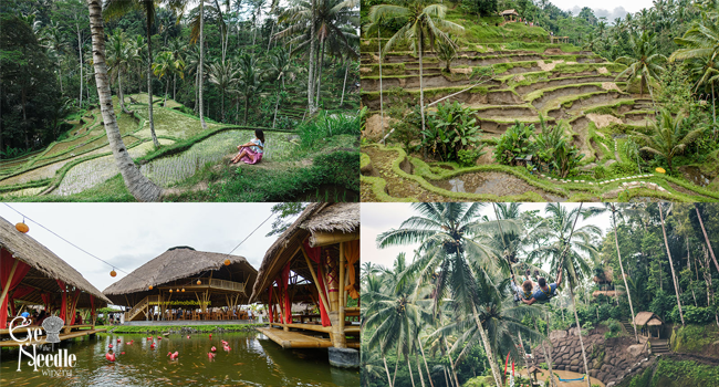 Enjoy Ubud's Natural Beauty