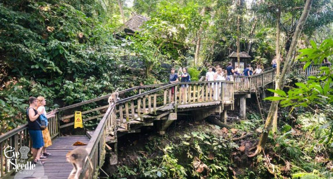 Introduction to the Sacred Monkey Forest in Ubud